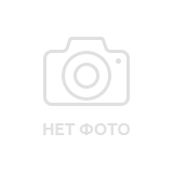 Щитовник 