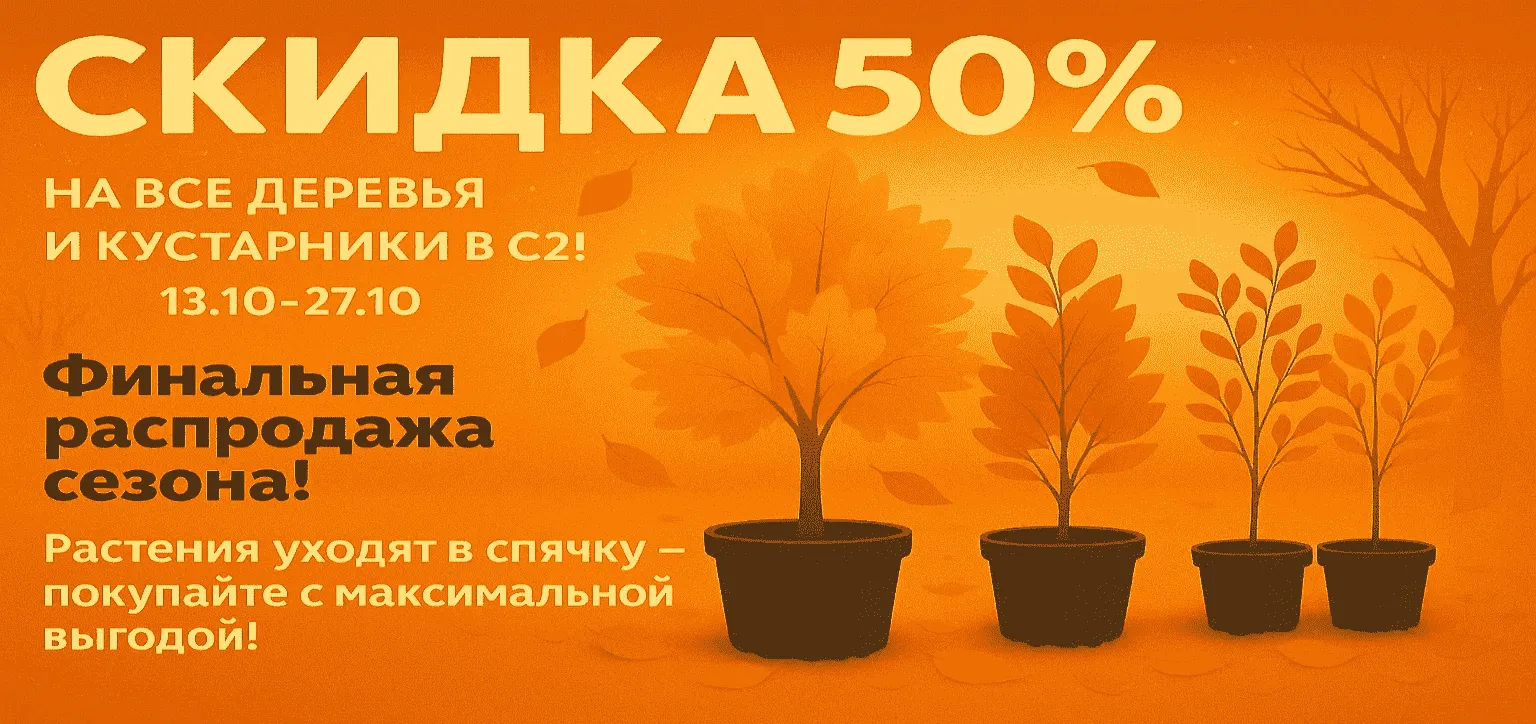 Скидка на С2 50%лиственные деревья и кустарники Скидка на С2 50%лиственные деревья и кустарники