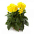Георгин Dahlietta Select Margareth